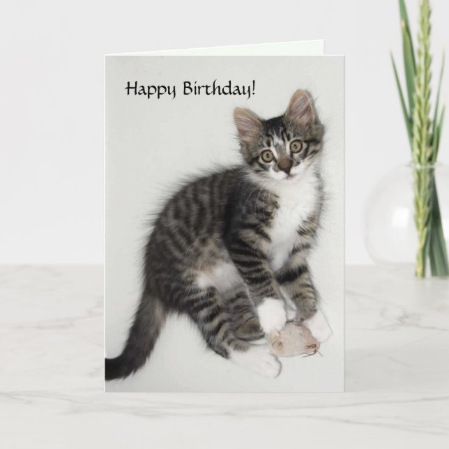 Zorro Happy Birthday Card (Front)