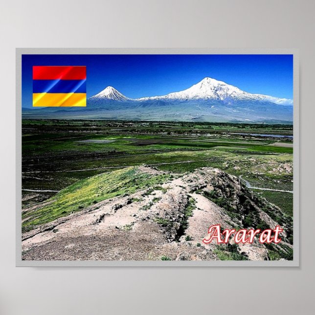 ZPC-AM0008 POSTER (Front)