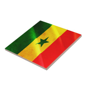 zSN002 SENEGAL, Waving Flag, Africa, Fridge Ceramic Tile