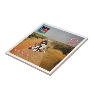 zSS006 WAU, South Sudan, Africa, Ceramic Tile