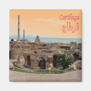 zTN005 CARTHAGE, Tunisia, Africa, Fridge Magnet