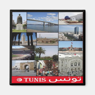 zTN020 TUNIS, Mosaic, Tunisia, Africa, Fridge Magn Magnet