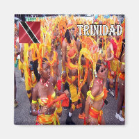 zTT006 TRINIDAD, Trinidad Tobago, Carnival, Fridge
