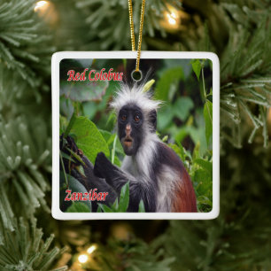 zTZ010 ZANZIBAR, Red Colobus, Tanzania, Ceramic Ornament