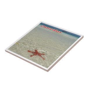 zTZ011 ZANZIBAR, Starfish,Tanzania, Africa, Ceramic Tile