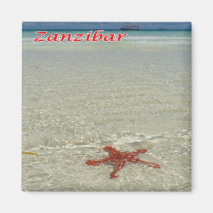 zTZ011 ZANZIBAR, Starfish,Tanzania, Africa, Fridge Magnet
