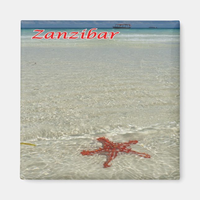 zTZ011 ZANZIBAR, Starfish,Tanzania, Africa, Fridge Magnet (Front)
