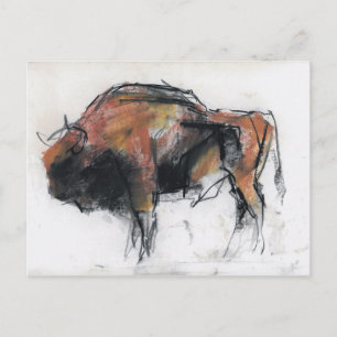 Zubre Bialowieza Postcard