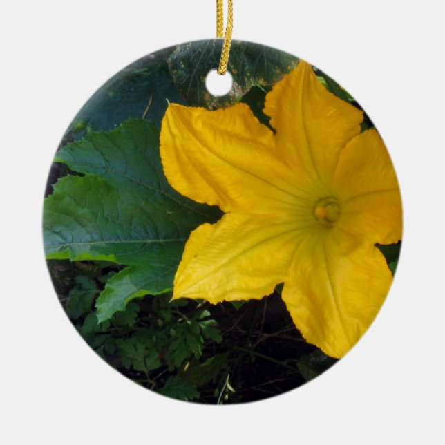 Zucchini Squash Blossom - photograph Ceramic Ornament (Front)