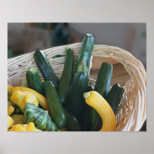 Zucchini Squash Gourds Vegetables Poster