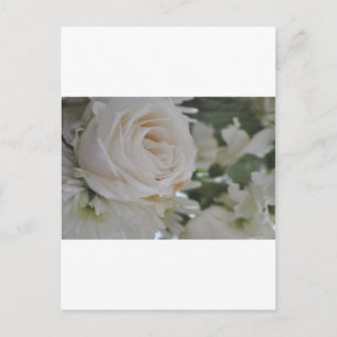 Zum Muttertag Postcard