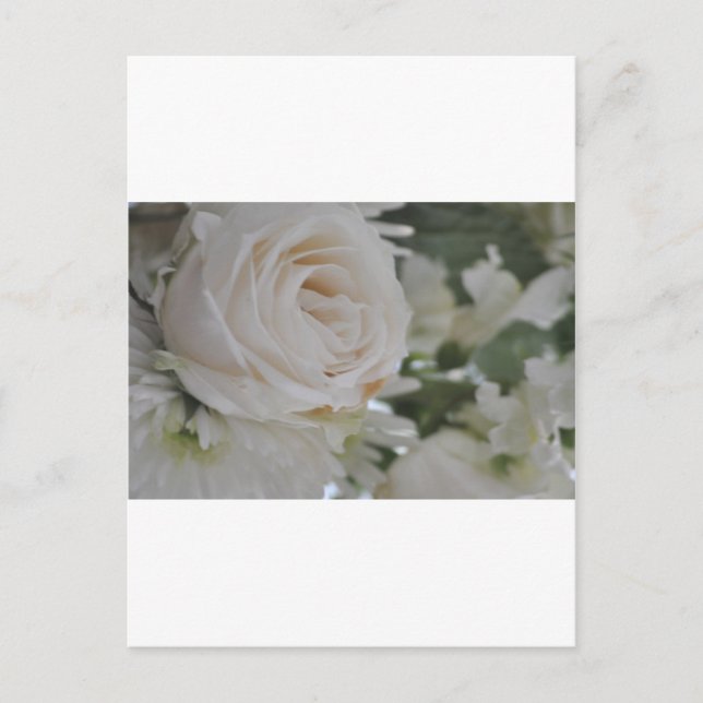 Zum Muttertag Postcard (Front)