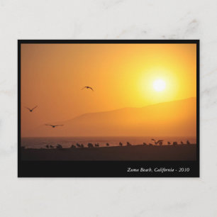 Zuma Beach, California Holiday Postcard