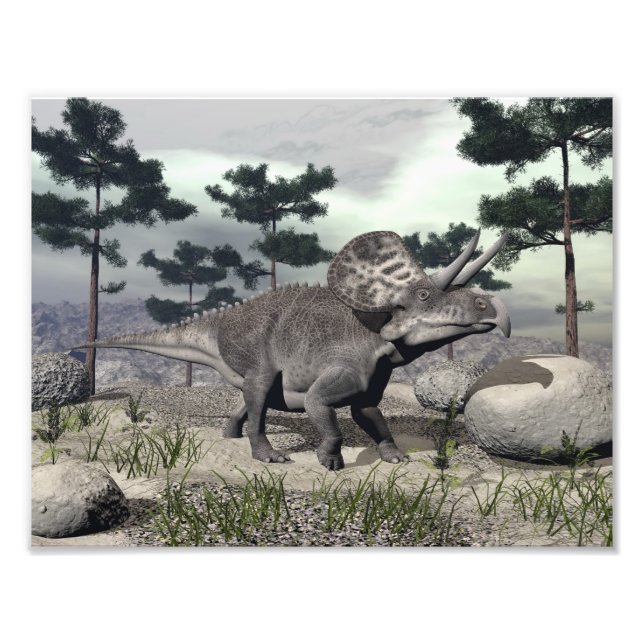 Zuniceratops dinosaur - 3D render Photo Print (Front)