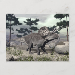 Zuniceratops dinosaur - 3D render Postcard