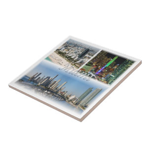 zUS053  MIAMI mosaic , Florida, America, Ceramic Tile