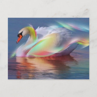 zwaan postcard