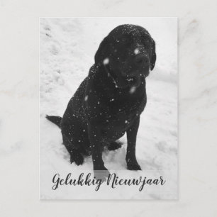 Zwart- Wit Foto Gelukkig Nieuwjaar Kerstkaart Postcard
