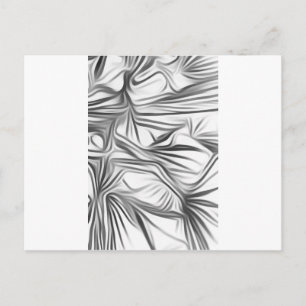 Zwart Wit Print Black White Print Plant Postcard