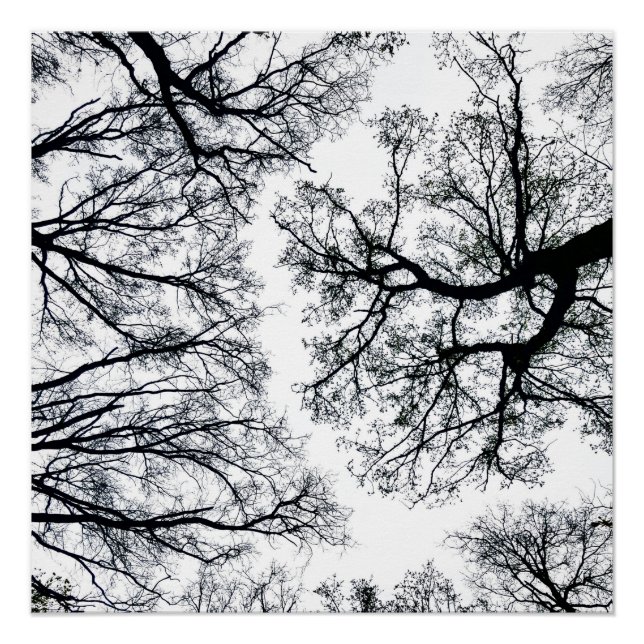 Zwollenaar Fractal Poster (Front)