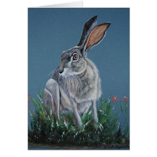 Zydeco Jack Rabbit