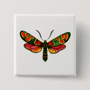 Zygaena carniolica - The Crepuscular Burnet Moth 15 Cm Square Badge