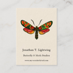 Zygaena carniolica - The Crepuscular Burnet Moth Business Card