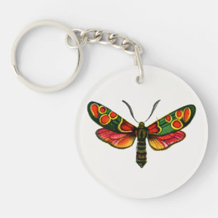 Zygaena carniolica - The Crepuscular Burnet Moth Key Ring
