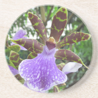 Zygopetalum Orchid Coasters
