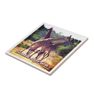 zZA011 SOUTH AFRICA, Giraffes, Ceramic Tile