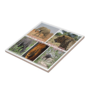 zZA027 SOUTH AFRICA, THE BIG 5 in KRUGER NP  Ceramic Tile