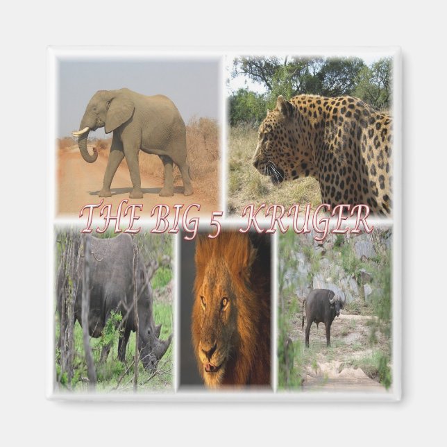 zZA027 SOUTH AFRICA, THE BIG 5 in KRUGER NP Fridge Magnet (Front)