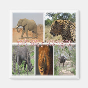 zZA035 SOUTH AFRICA Big 5 In Kruger N.P. Fridge Magnet